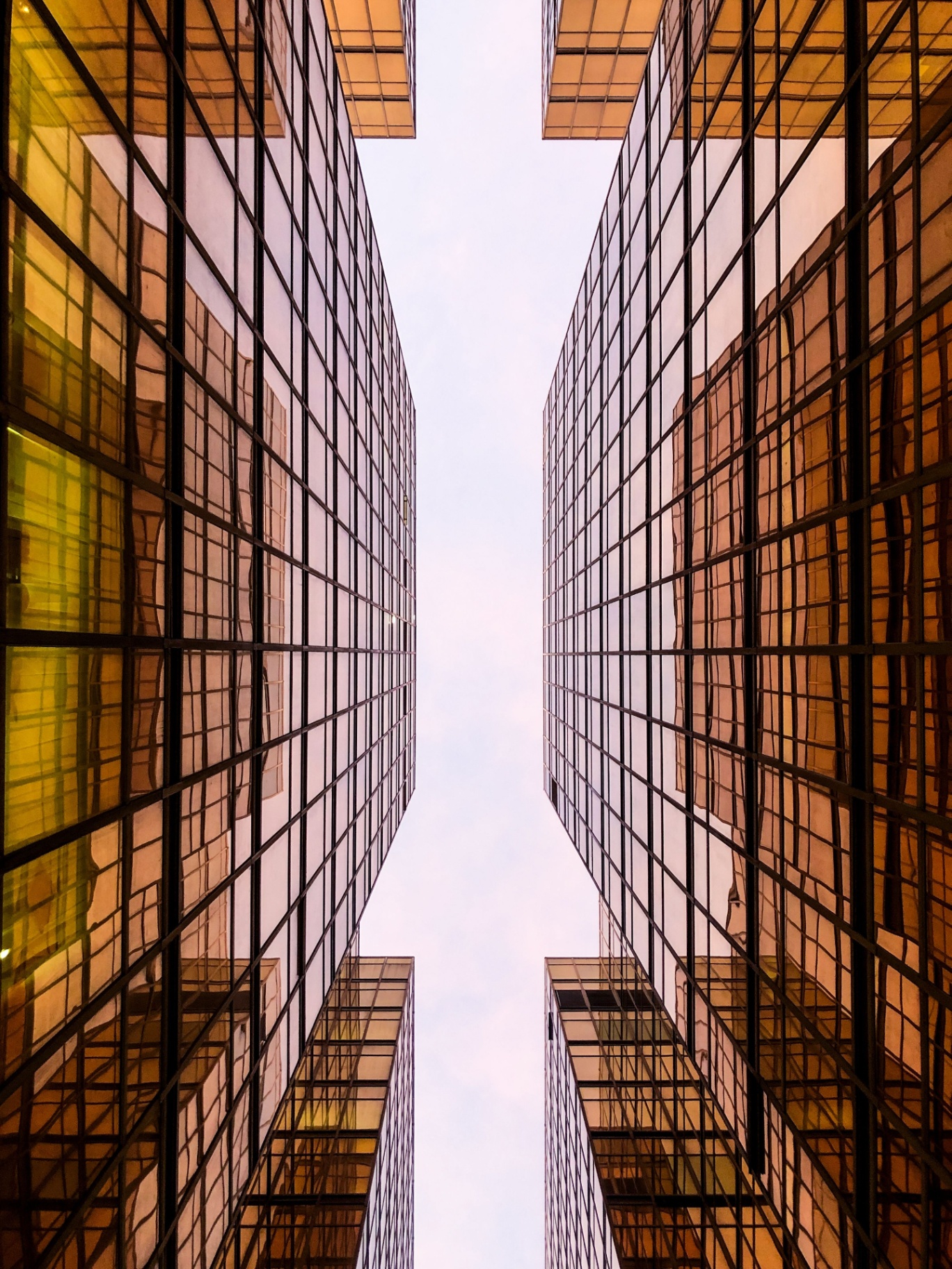 Modern glass towers reflecting warm golden light